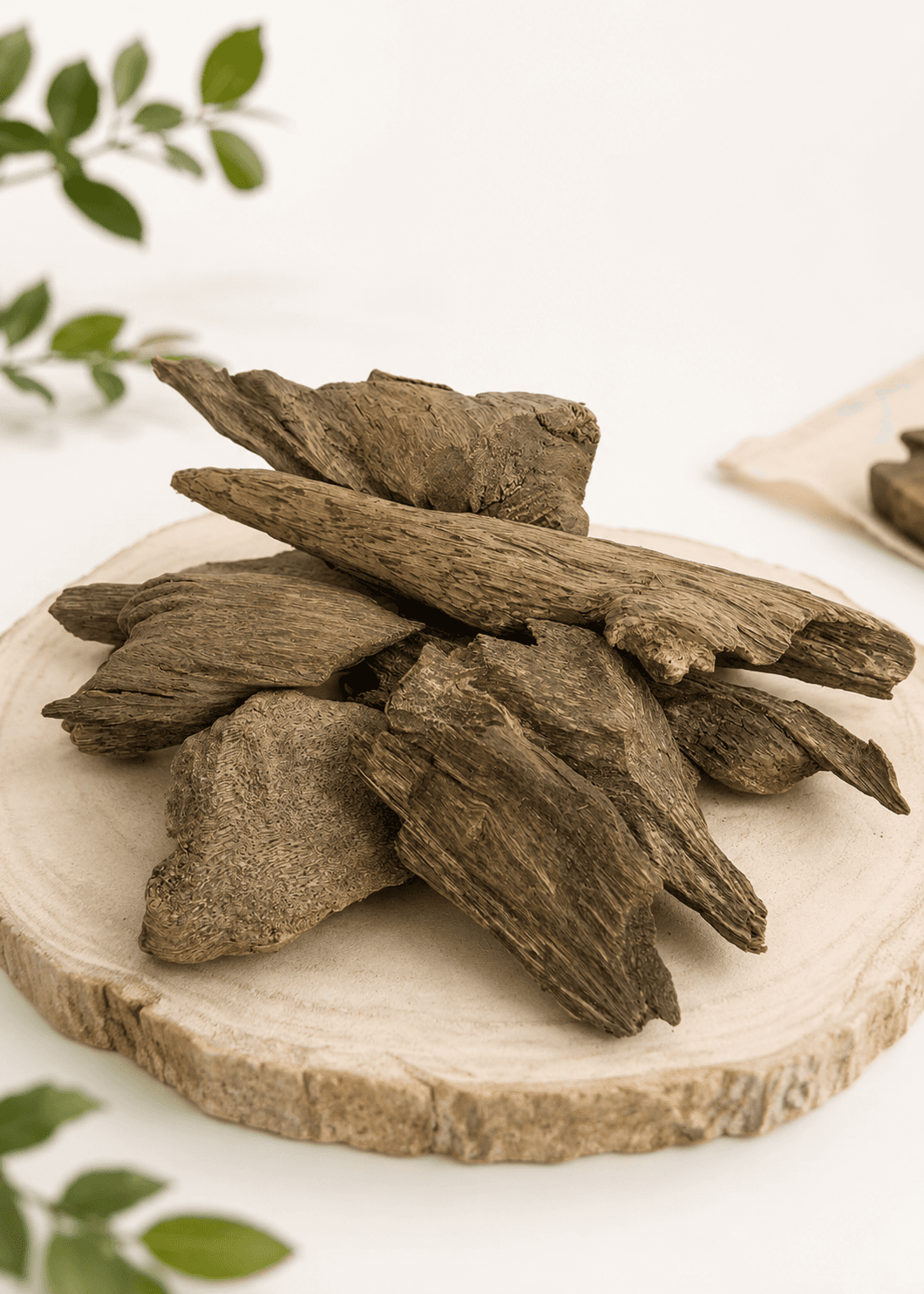 عود بابوه سوبر 117 (سعر الأوقية)